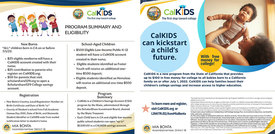 Collage of CalKIDS flyers