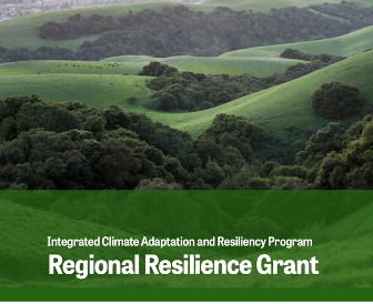 Regional Resilience Grant