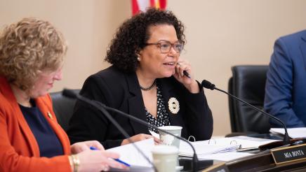 Asm. Bonta at Budget Subcommittee No. 1 2/24/25.